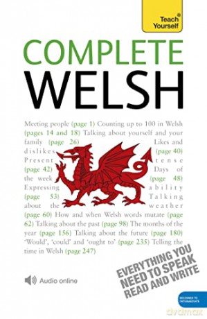 Tys Complete Welsh Book - Julie Brake [KSIĄŻKA]