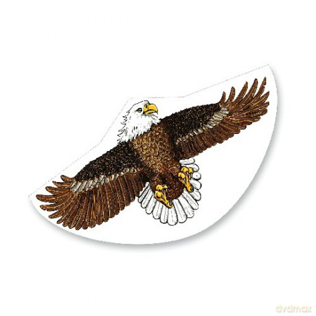 Gunther Latawiec Seeadler [ZABAWKA]