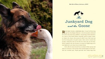 Unlikely Friendships Dogs - Jennifer S Holland [KSIĄŻKA]