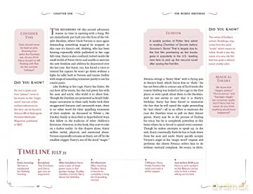 Unofficial Harry Potter Companion Vol 2 - Alohomora! [KSIĄŻKA]