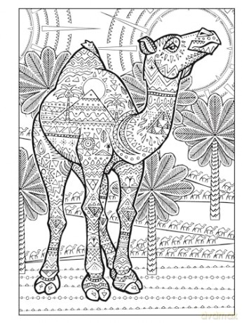 Untamed Designs Coloring Book - Arkady Roytman [KSIĄŻKA]