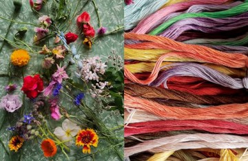 Untamed Thread - Fleur Woods [KSIĄŻKA]