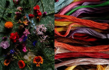 Untamed Thread - Fleur Woods [KSIĄŻKA]