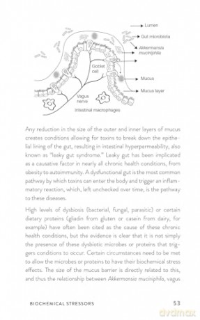Upgrade Your Vagus Nerve - Navaz Habib [KSIĄŻKA]