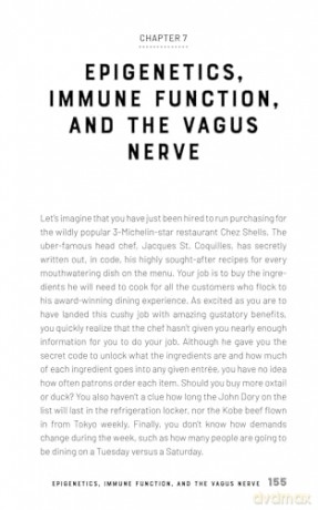 Vagus Immune Connection - J P Errico [KSIĄŻKA]