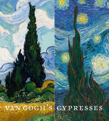 Van Goghs Cypresses - Susan Alyson Stein [KSIĄŻKA]