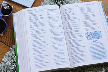 Veggietales Bible Nirv - Zondervan [KSIĄŻKA]