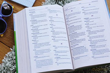 Veggietales Bible Nirv - Zondervan [KSIĄŻKA]
