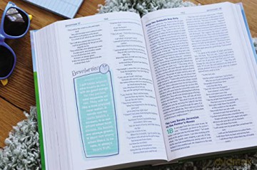 Veggietales Bible Nirv - Zondervan [KSIĄŻKA]