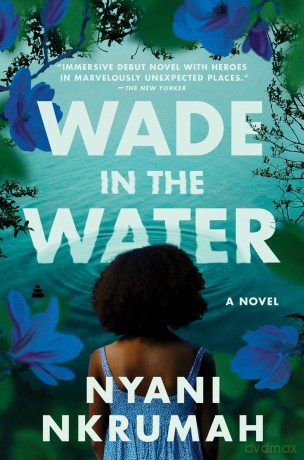 Wade In The Water - Nyani Nkrumah [KSIĄŻKA]