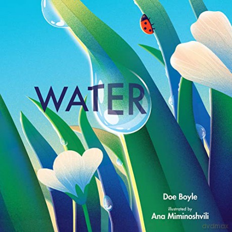 Water - Doe Boyle [KSIĄŻKA]