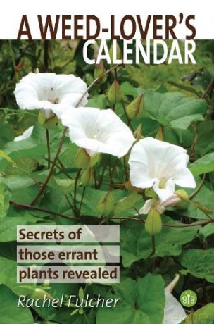 Weed Lovers Calendar - Rachel Fulcher [KSIĄŻKA]