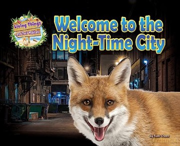 Welcome To The Nighttime City - Ruth Owen [KSIĄŻKA]