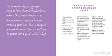 Welsh Cake Cookbook - Gilli Davies [KSIĄŻKA]