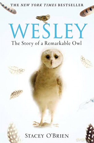Wesley The Remarkable Story Of An Owl - Stacey O'brien [KSIĄŻKA]