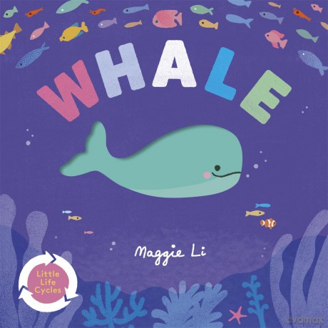 Whale - Maggie Li [KSIĄŻKA]