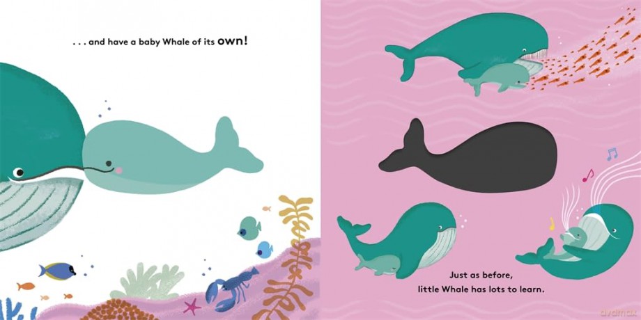 Whale - Maggie Li [KSIĄŻKA]