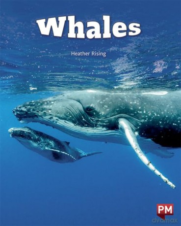 Whales - Heather Rising [KSIĄŻKA]