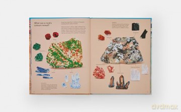 What A Rock Can Reveal - Wei Haas Maya [KSIĄŻKA]