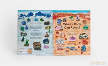What A Rock Can Reveal - Wei Haas Maya [KSIĄŻKA]