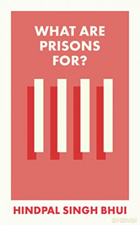 What Are Prisons For - Hindpal Singh Bhui [KSIĄŻKA]