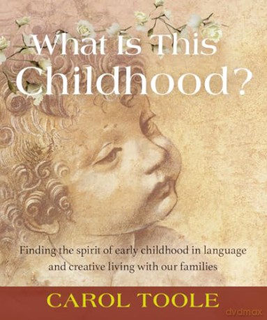What Is This Childhood - Carol Toole [KSIĄŻKA]