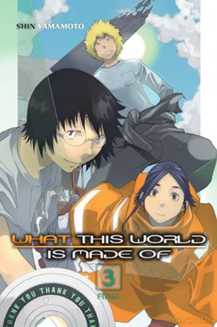 What This World Is Made Of Vol 3 - Shin Yamamoto [KSIĄŻKA]