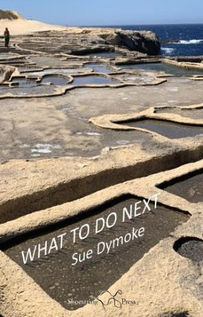 What To Do Next - Sue Dymoke [KSIĄŻKA]