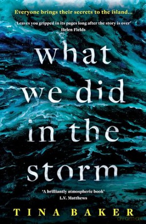What We Did In The Storm - Tina Baker [KSIĄŻKA]