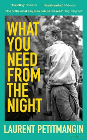 What You Need From The Night - Laurent Petitmangin [KSIĄŻKA]