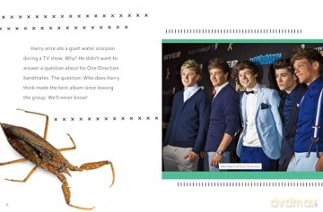 What You Never Knew About Harry Styles - Dolores Andral [KSIĄŻKA]