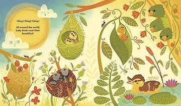 Whats Inside A Birds Nest - Rachel Ignotofsky [KSIĄŻKA]