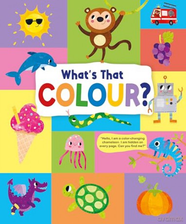 Whats That Colour - Emily Kington [KSIĄŻKA]