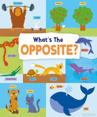 Whats The Opposite - John Allan [KSIĄŻKA]
