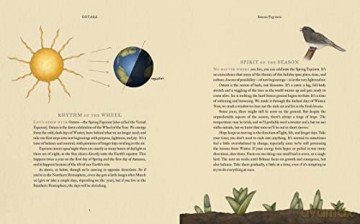 Wheel Of The Year - Fiona Cook [KSIĄŻKA]