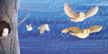 When Owl Feels Scared - Gemma Cary [KSIĄŻKA]