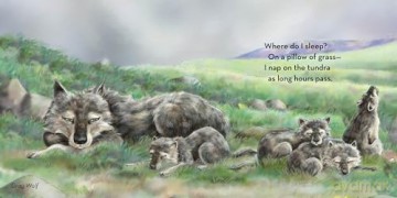 Where Do I Sleep - Jennifer Blomgren [KSIĄŻKA]