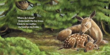Where Do I Sleep - Jennifer Blomgren [KSIĄŻKA]