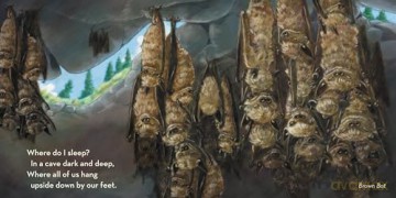 Where Do I Sleep - Jennifer Blomgren [KSIĄŻKA]
