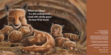 Where Do I Sleep - Jennifer Blomgren [KSIĄŻKA]