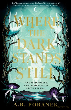 Where The Dark Stands Still - Ania Poranek [KSIĄŻKA]