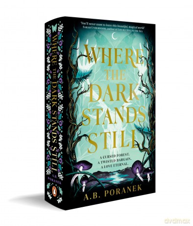 Where The Dark Stands Still - Ania Poranek [KSIĄŻKA]