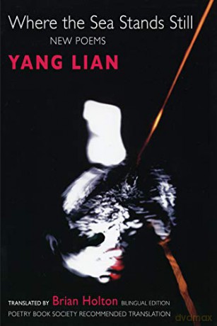 Where The Sea Stands Still - Lian Yang [KSIĄŻKA]