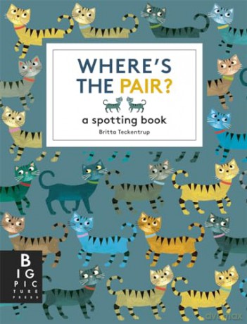 Wheres The Pair - Teckentrup Bri [KSIĄŻKA]