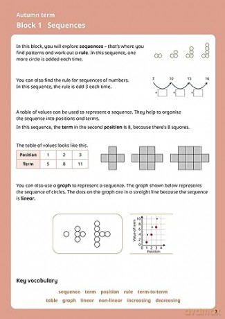 White Rose Maths Practice Journals Year [KSIĄŻKA]