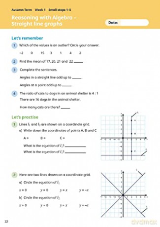 White Rose Maths Practice Journals Year [KSIĄŻKA]
