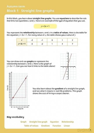 White Rose Maths Practice Journals Year [KSIĄŻKA]