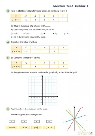 White Rose Maths Practice Journals Year [KSIĄŻKA]
