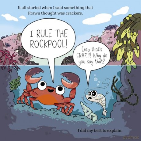 Who Rules The Rockpool - Matty Long [KSIĄŻKA]