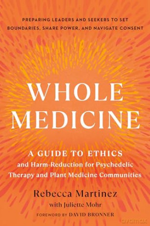 Whole Medicine - Rebecca Martinez [KSIĄŻKA]